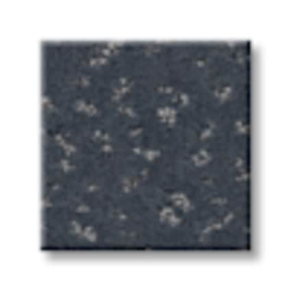 Shaw Lenox Hill Dimension Pattern Carpet with Pet Perfect Plus-Sample
